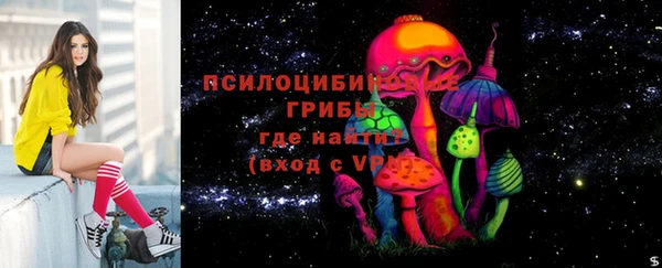 гашик Алексин