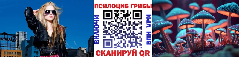 купить закладку  Касли  гидра маркетплейс  Псилоцибиновые грибы GOLDEN TEACHER 